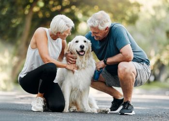 Attain on 5th apartment homes with Older couple kneeling on a path, smiling and petting a golden retriever outdoors on a sunny day.